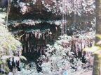 310 Rio Camuy Caves.JPG (74 KB)